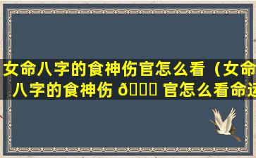 女命八字的食神伤官怎么看（女命八字的食神伤 🐞 官怎么看命运）
